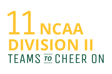 11 NCAA Division II teams