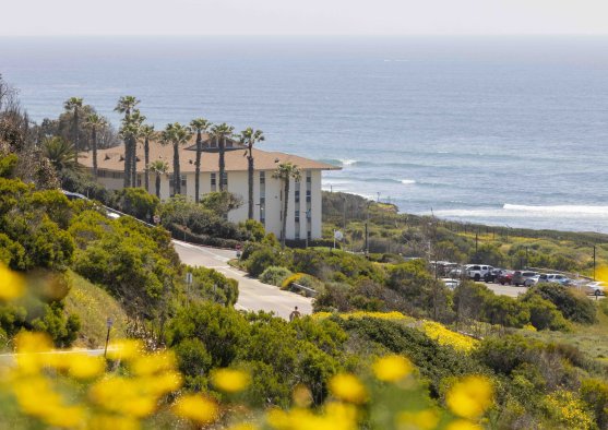 View of Young Hall from a distance overlooking the Pacific Ocean with palm trees, coastal bluffs, and blooming yellow wildflowers.