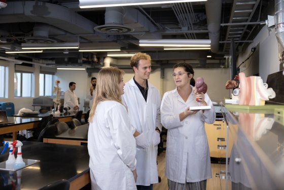 PLNU students conducting assessment in Rohr Science anatomy lab. 