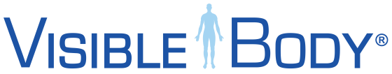 Visible Body Logo